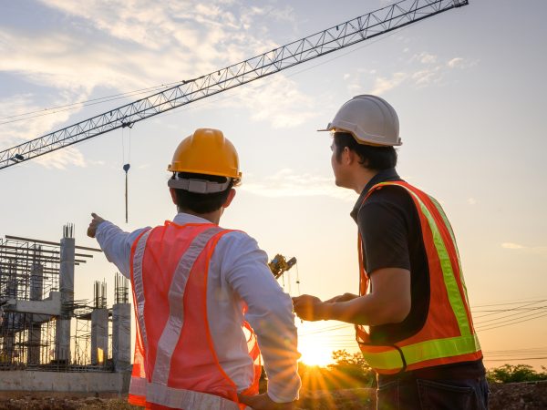 This is the latest article